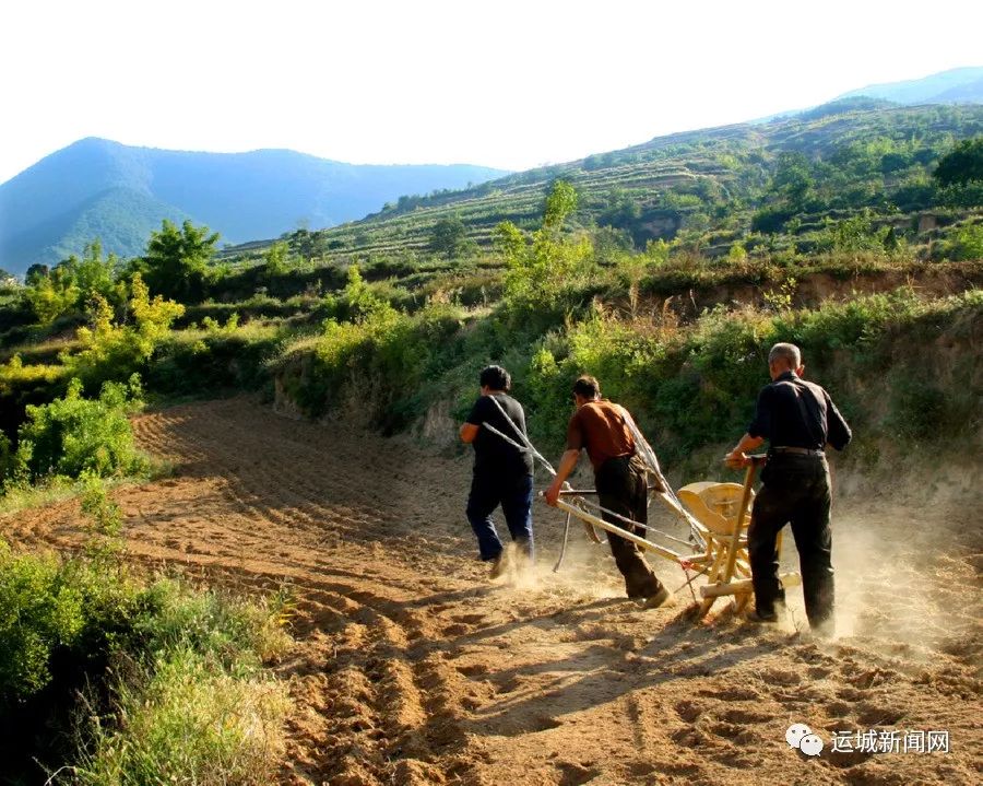 致敬改革中勤劳的运城农民好日子是奋斗出来的