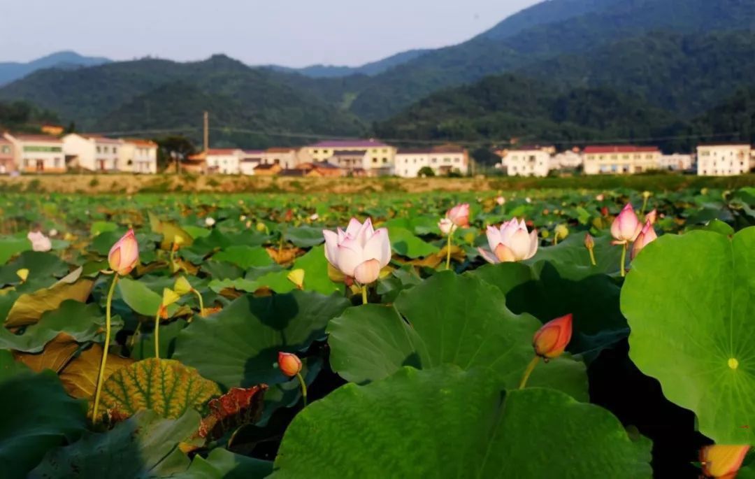 浏阳六叠泉高山漂流730本周二