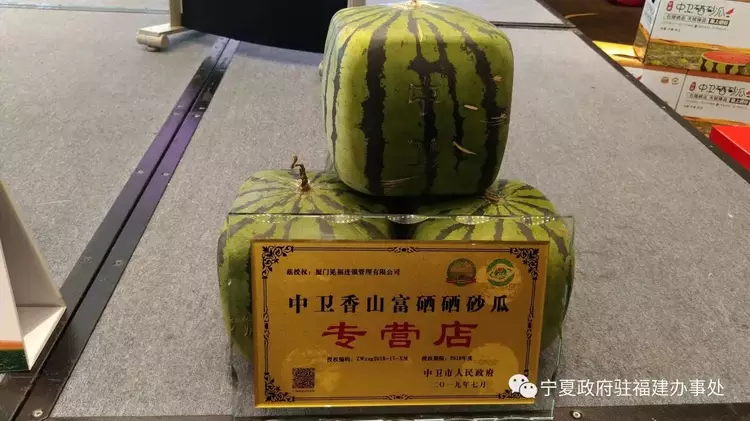 中卫香山硒砂瓜上市,教你如何假辨真假硒砂瓜!