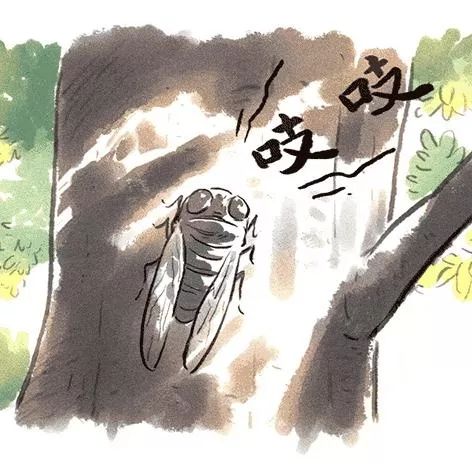 蝉声四起夏意正浓我们一起捉蝉去