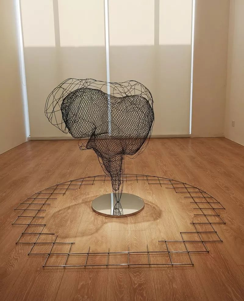 作品《藤》的生长蔓延一直是李赢作品可频繁读到的信息,这次她索性将