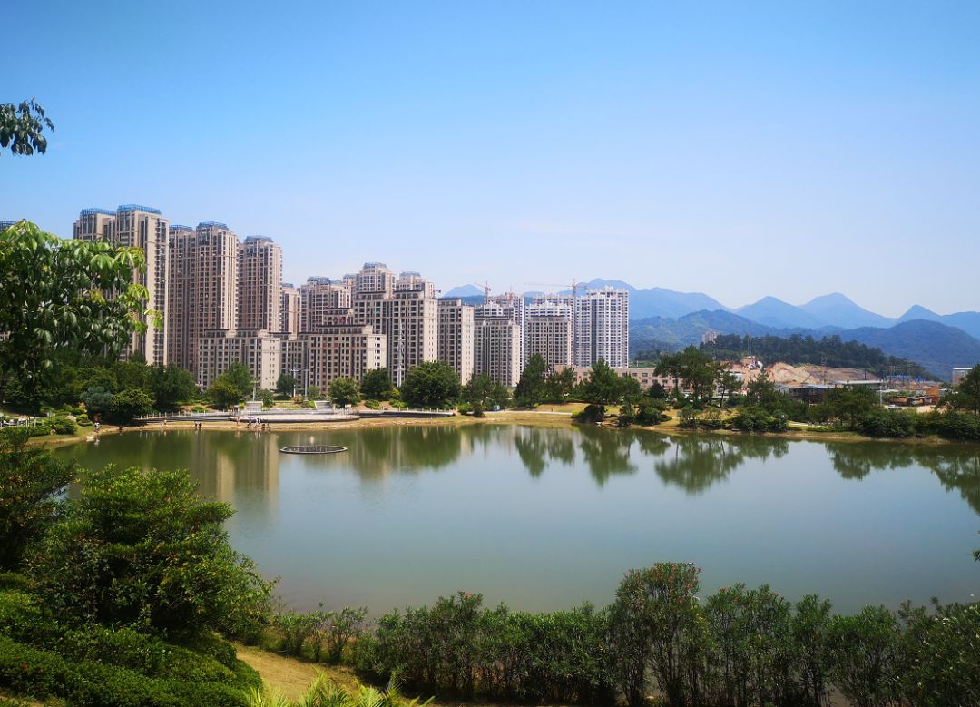 定了三明市城市园林绿化管理条例10月1日起实施这些行为最高罚1万