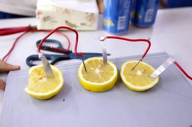 今天你和水果来电了吗