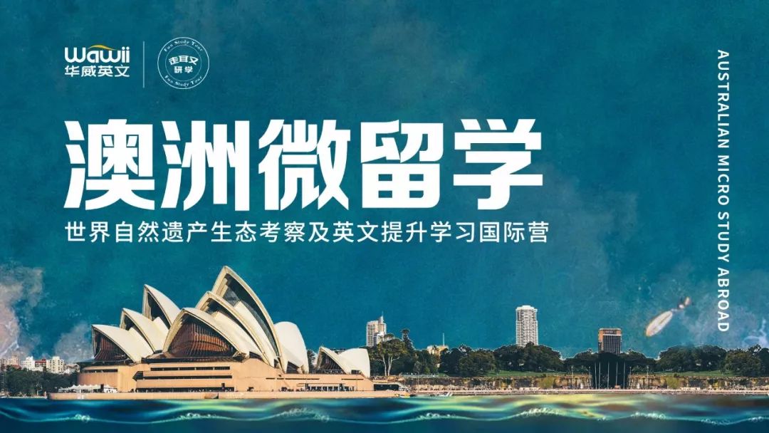 洋桃留学