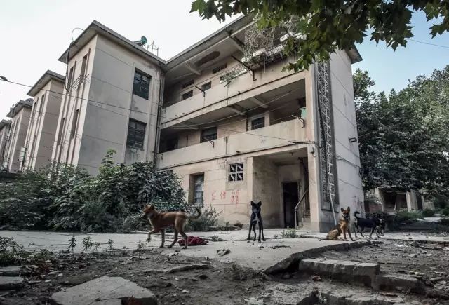 长广记忆,25张照片带你找回广德牛头山曾经的辉煌!