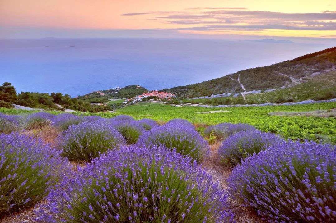 15 西班牙广场集合,8:30 趁着清早凉爽的天气我们出发前往【薰衣草