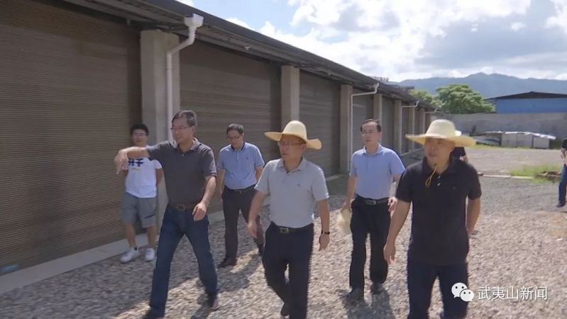 武夷山市领导检查生态环境保护问题部署圆梦村建设工作