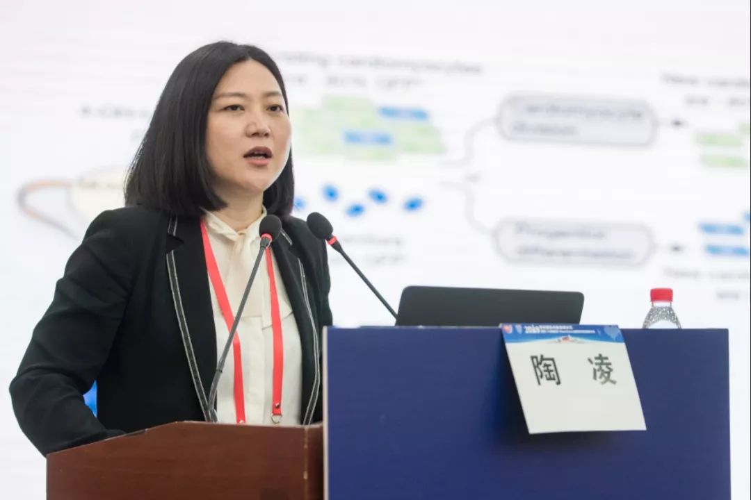 西京会2019丨陶凌干细胞在心血管疾病临床应用中的现状和进展