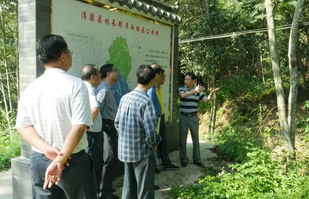 峙灘鎮浮西林區,206國道沿線,蛟潭鎮勤坑村,林工站,實地觀摩了縣,鄉