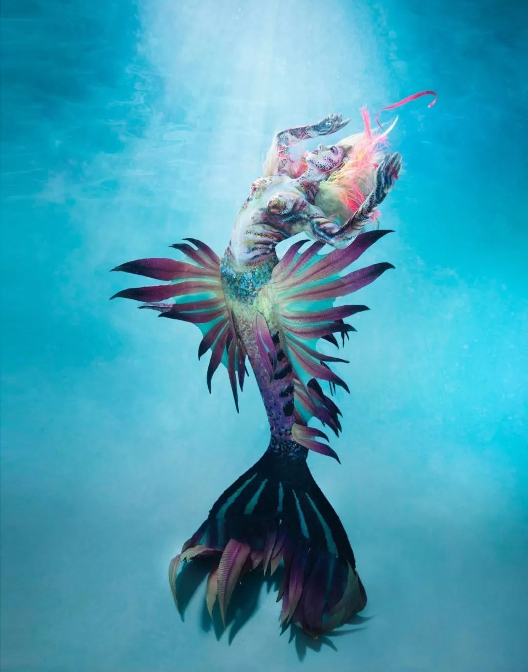 美人鱼竟然是一种职业