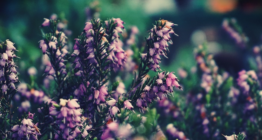 家电导购员转型必须加快，不能再天天上街拉客发单页！-家电圈官网