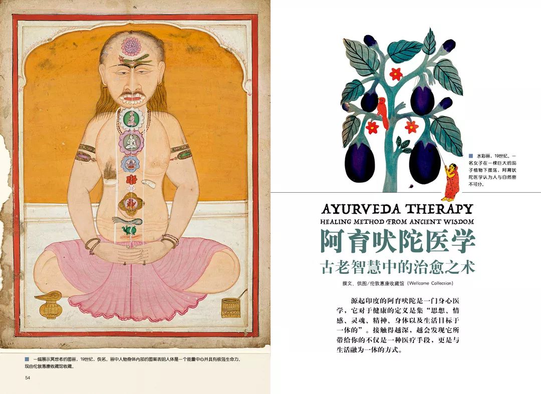 阿育吠陀医学古老智慧中的治愈之术