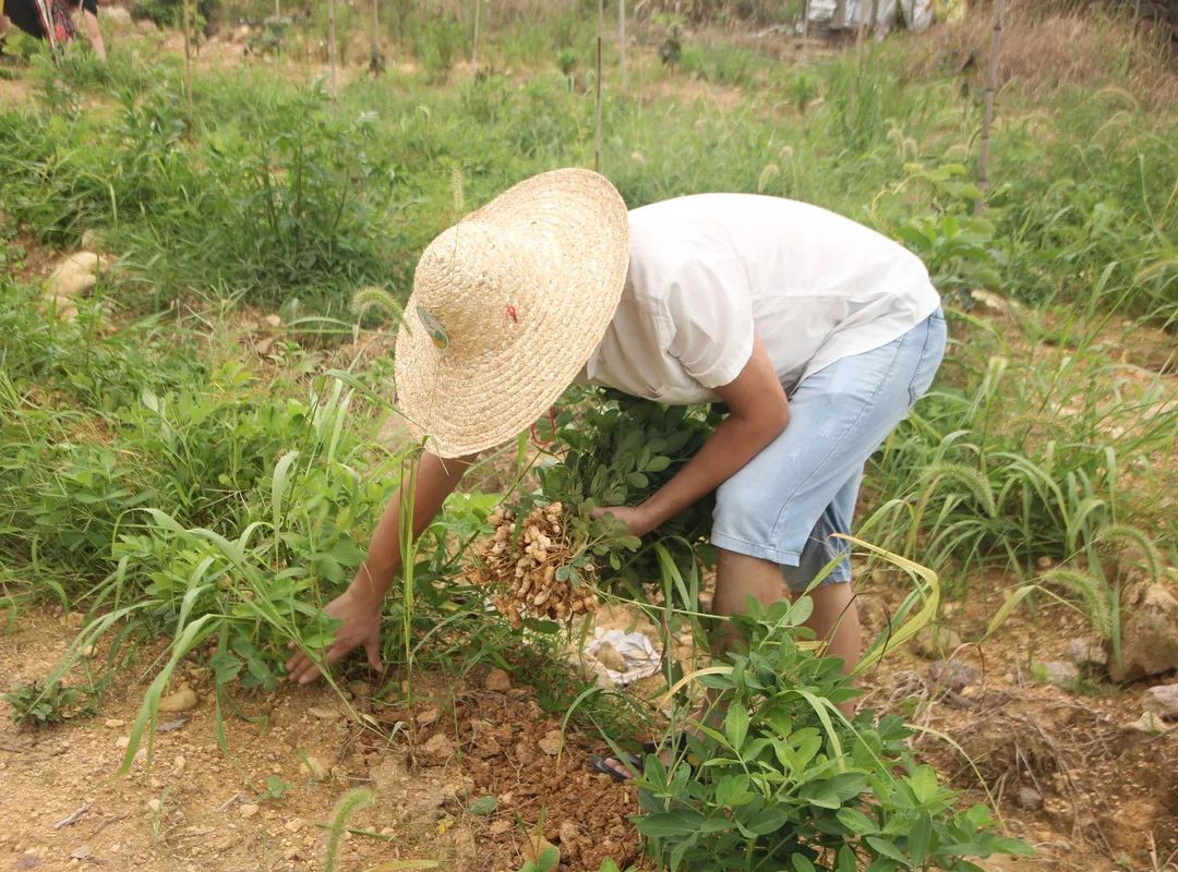农作生活大体验