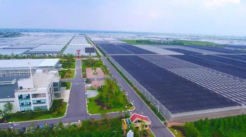 曹金海专题听取飞悦农业科技产业园工作汇报