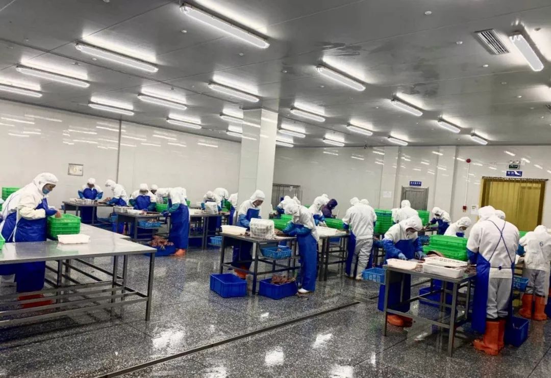 三亚海鲜市场：新鲜海味的天堂