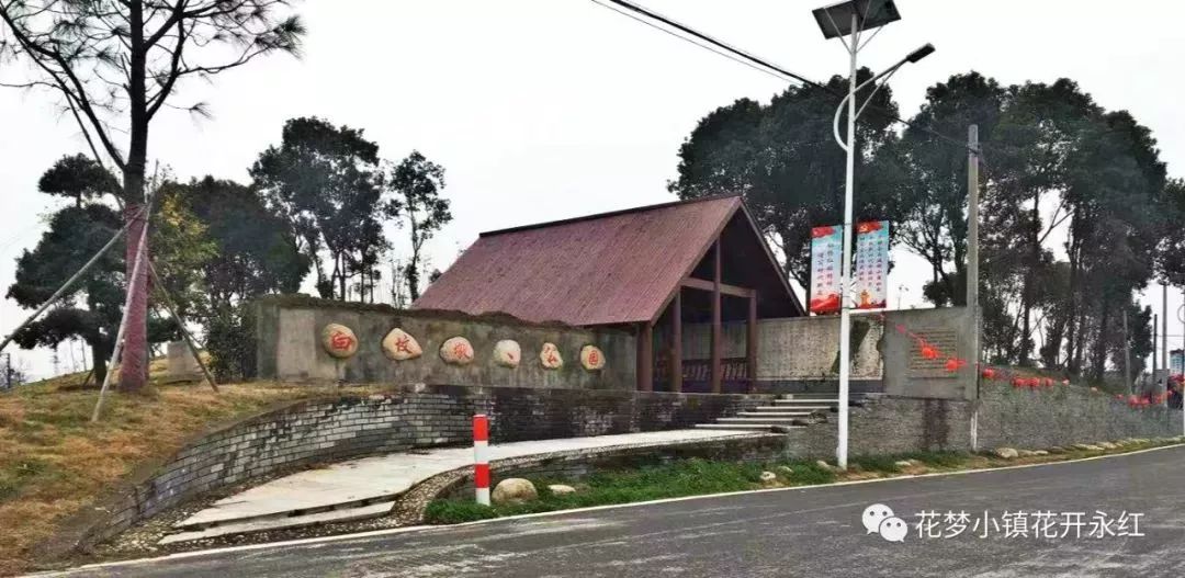 周末去哪玩快来凤桥永红村尝尝多汁水蜜桃感受夏日好时光