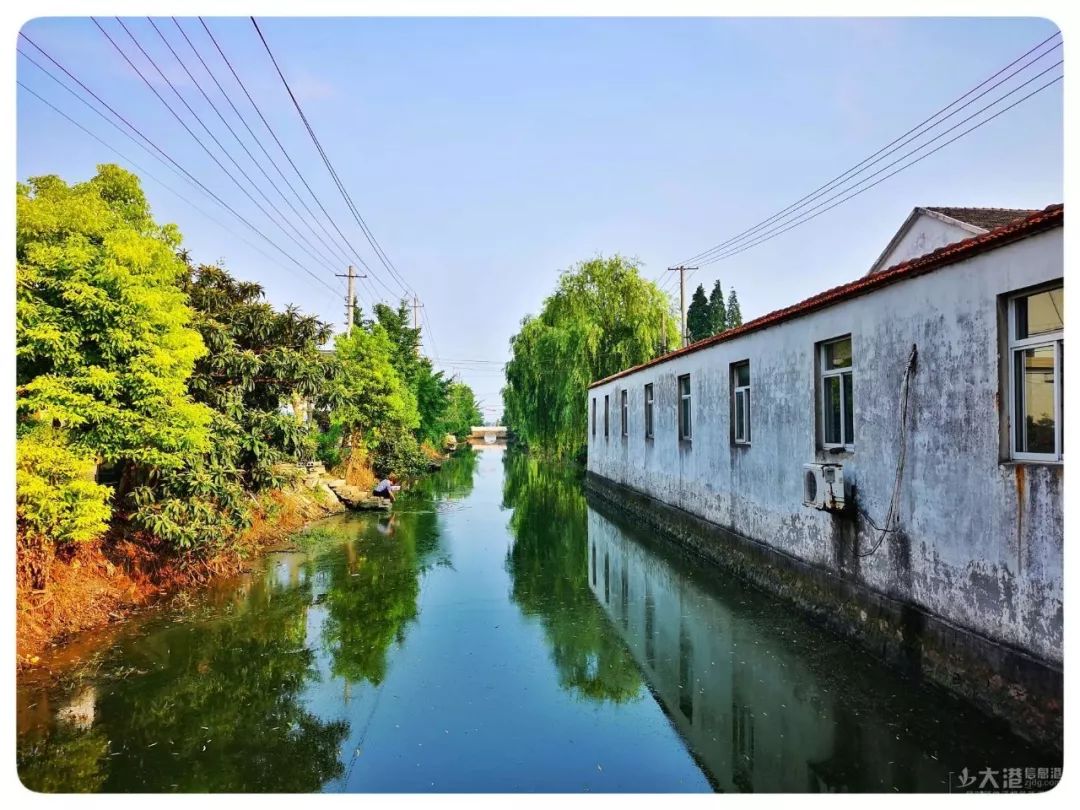 是你们村吗偶遇镇江东乡醉美乡村美景