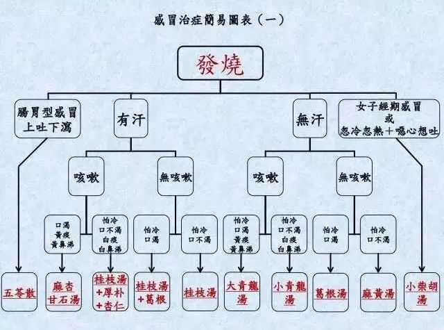 咳嗽重,咳出黄痰,身体痛,口渴重,喜喝冷水,没有胃口时,就吃大青龙汤