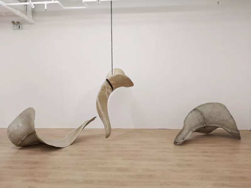 展览| 李赢:万物生长和虚霩