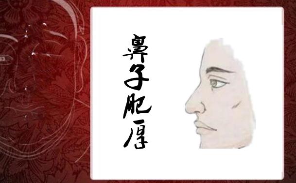 四种发财鼻子个个财大气粗走哪儿都发财兜财旺子孙