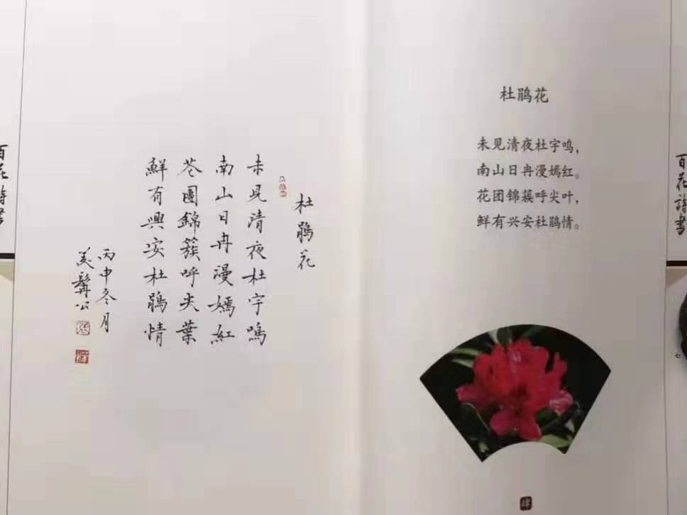 书法,诗词,花草,故事,岁时,于寻常的相遇也能滋生欢喜.