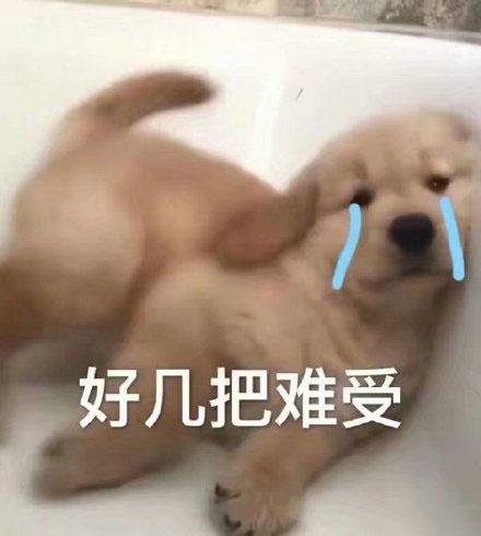 好难受呆滞,哽住,无话可说我没有哭tantan委屈的表情包:不要说了,要