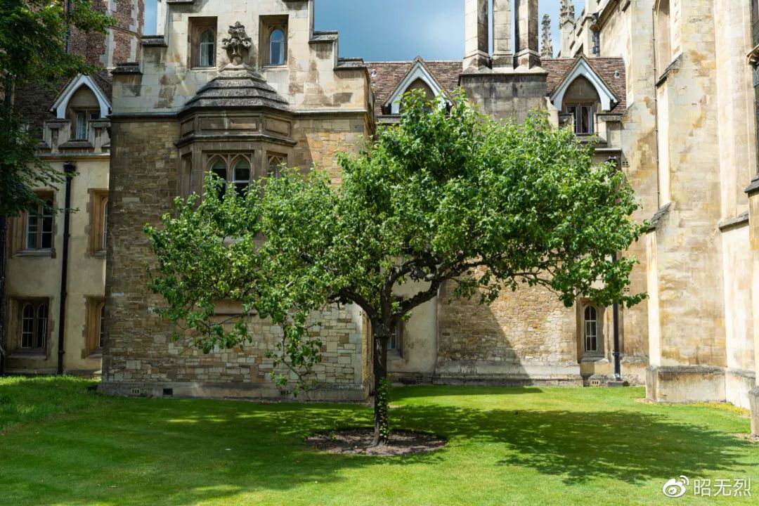 代了这条街巷是我这次旅行最满意的照片之一与牛津大学齐名的剑桥大学