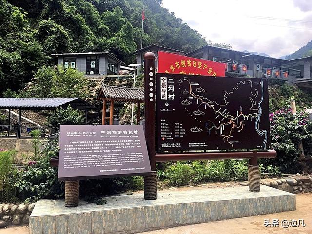 高黎贡山怒江百鸟谷云端鸟巢