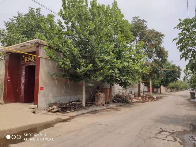 地址,东塔影村东.紧挨高邑智能港.环境优雅,核桃树婆娑,刚刚装修完毕.