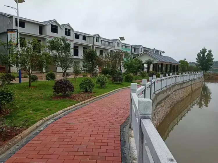 洪港镇西坑村通羊镇港口村一条条小路干净清爽一个个农家庭院规整有序