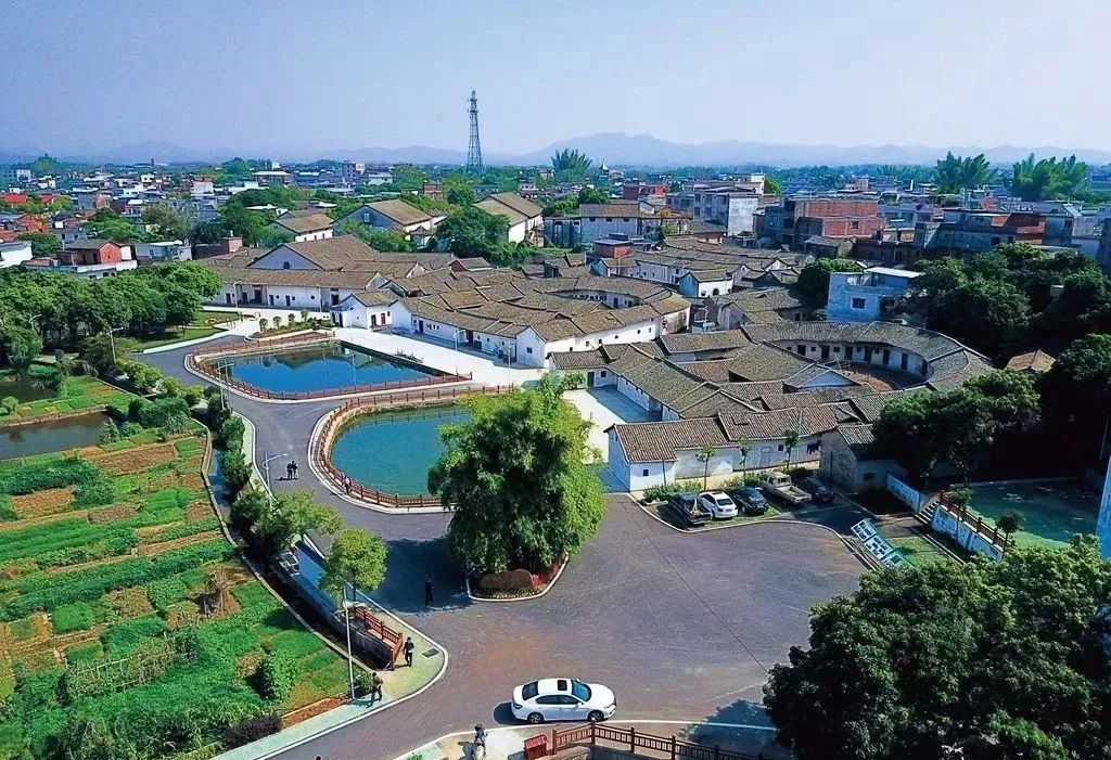 镇东源县上莞镇英德市英红镇广东农业产业强镇建设名单其中广东11个强