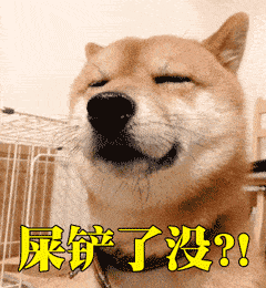 走狗屎运佛山一司机被交警扣分扣车竟因为一只狗