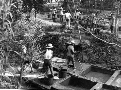 暴露年龄的问题来了慈溪人你知道捻河泥是什么吗