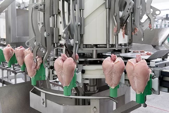 梅恩为北票宏发1亿只肉鸡项目提供全自动高速加工解决方案