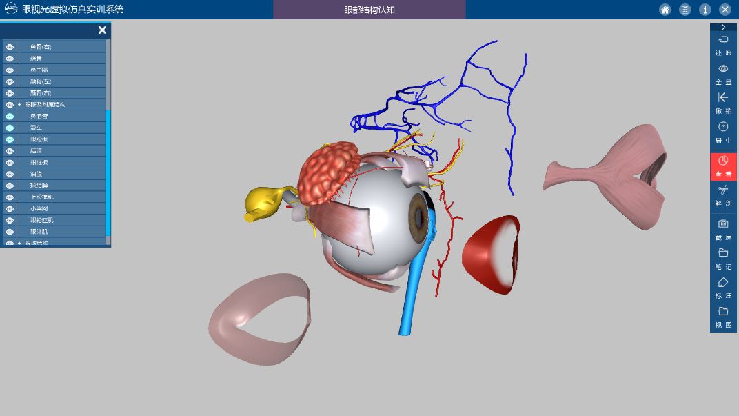 眼部解剖部分三大模塊通過沉浸式的場景,科學的交互設計可以讓使用者