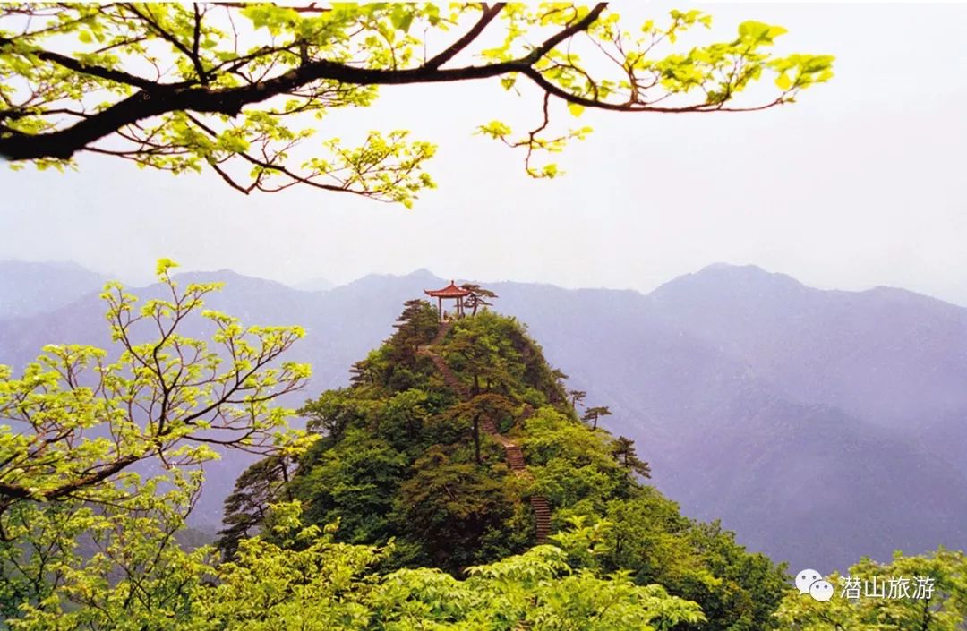 走遍潛山丨金紫山森林公園