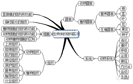 植物與生物第四單元生物圈中的人第8章人體的營養第9章人體內的物質