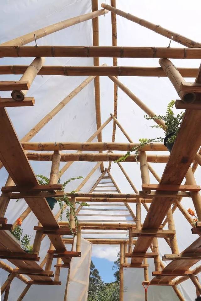 竹建筑温室