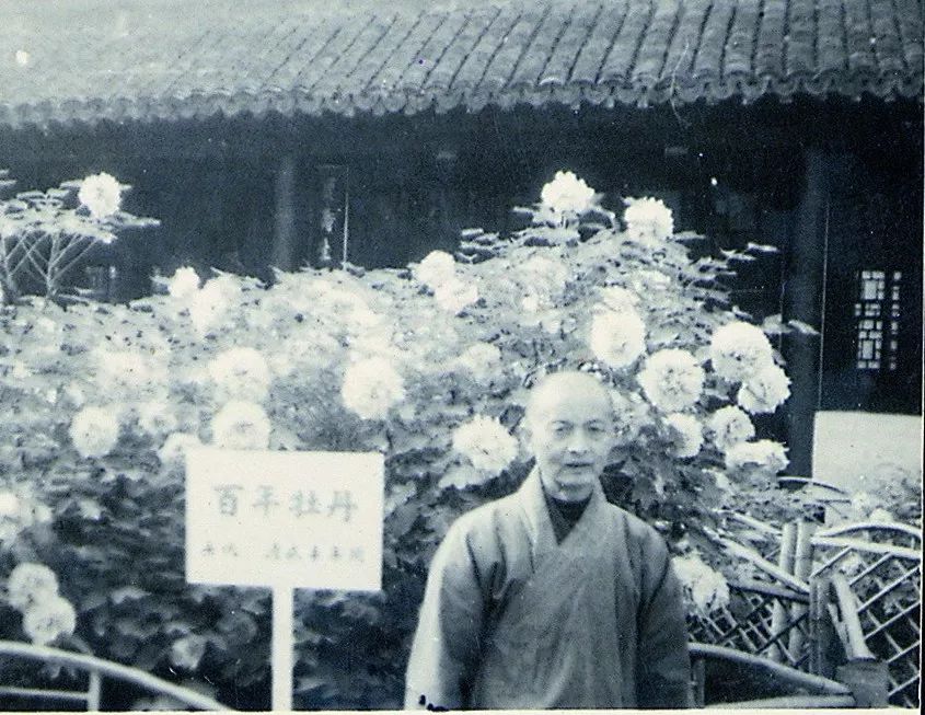 現在昭覺寺山門內東側的素餐廳,茶園一帶,在落實政策初期是一片空地