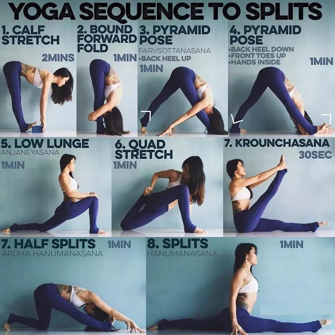 瑜伽馆必备哈他瑜伽体式编排图值得收藏