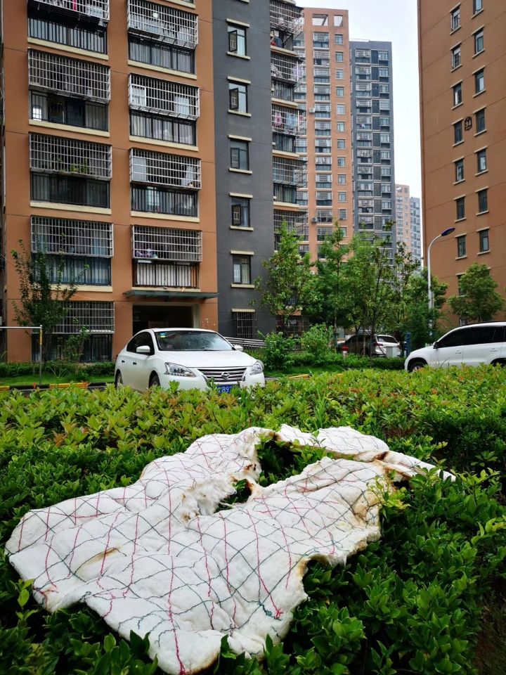 武汉东湖新技术开发区佛祖岭社区f区发生火情