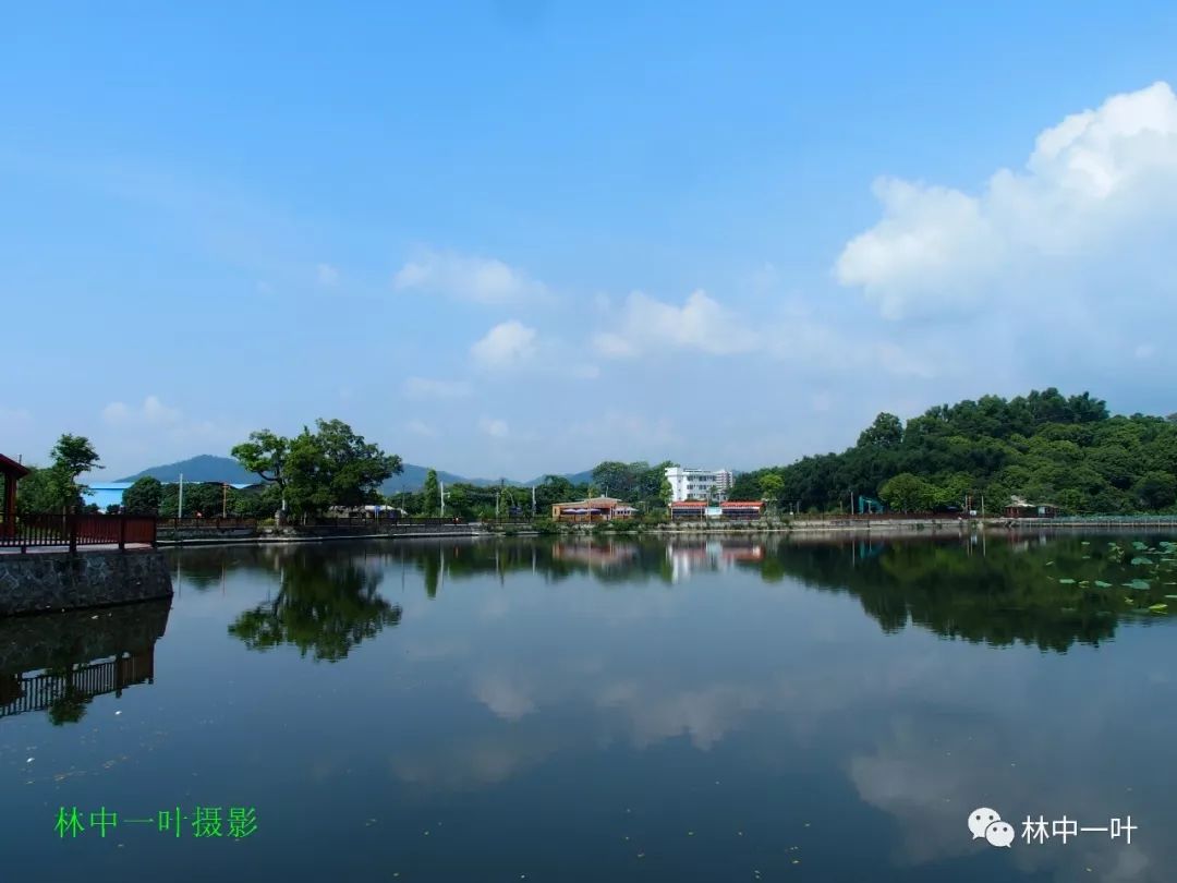 《寄绍兴吕左丞》[元] 陈秀民后来江左英贤传,又是淮西保相家.