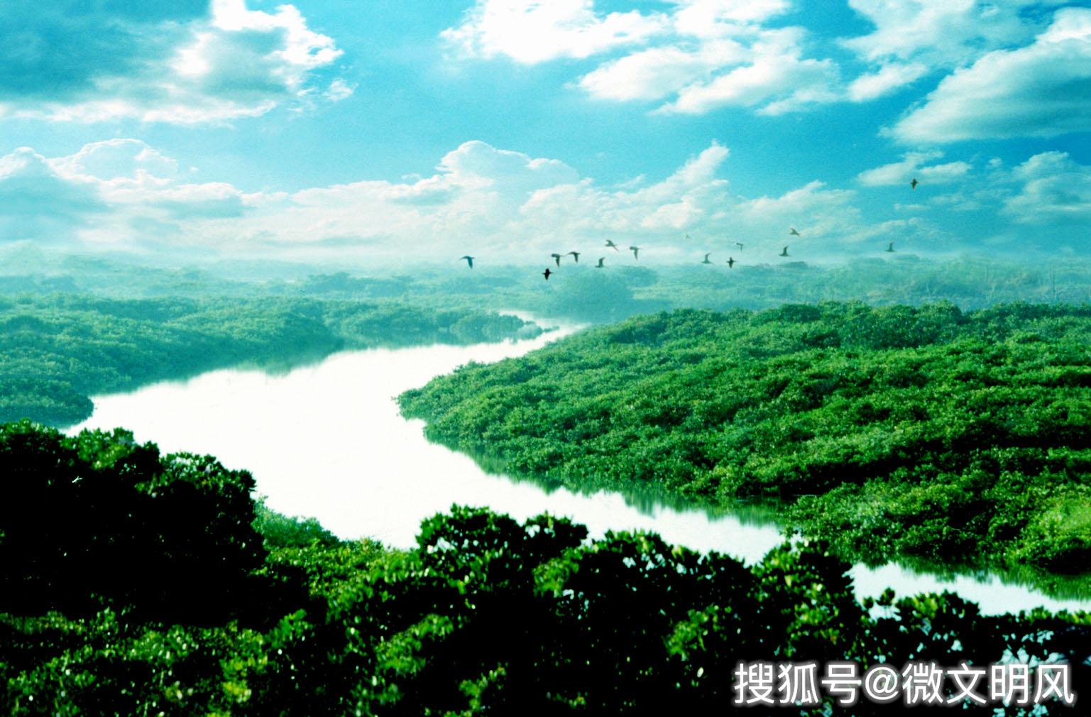 如诗如画,廉江新八景带您领略不一样的自然景观与人文风貌-搜狐大视野-搜狐新闻