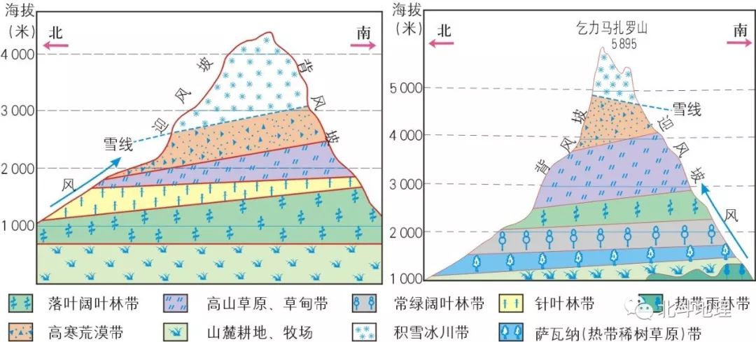 垂直植被类型分布图图片