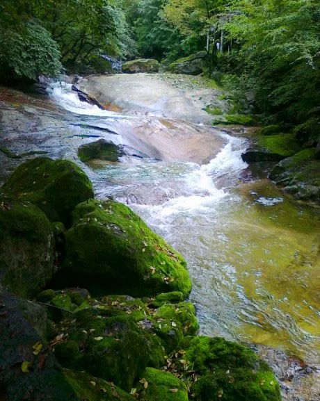 湯峪小鎮境內,古鎮被龍鳳山環抱,湯峪河在小鎮中心穿過,龍源溼地公園