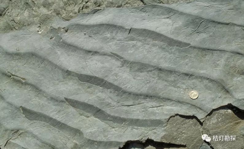 99张野外地质实拍图,搞地质的必看!_褶皱