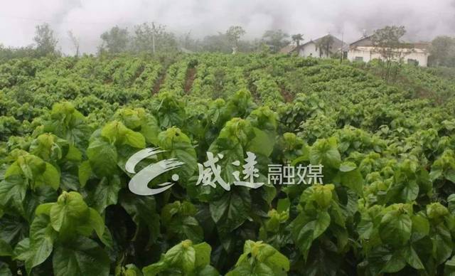 图/文:范冉编辑:童秋平责编:刘磊返回搜狐,查看更多