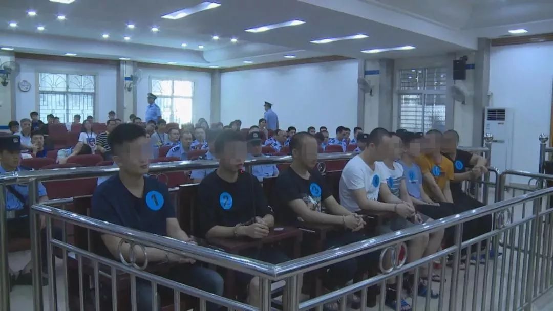 紫金公开审理一起恶势力犯罪集团案件8人受审