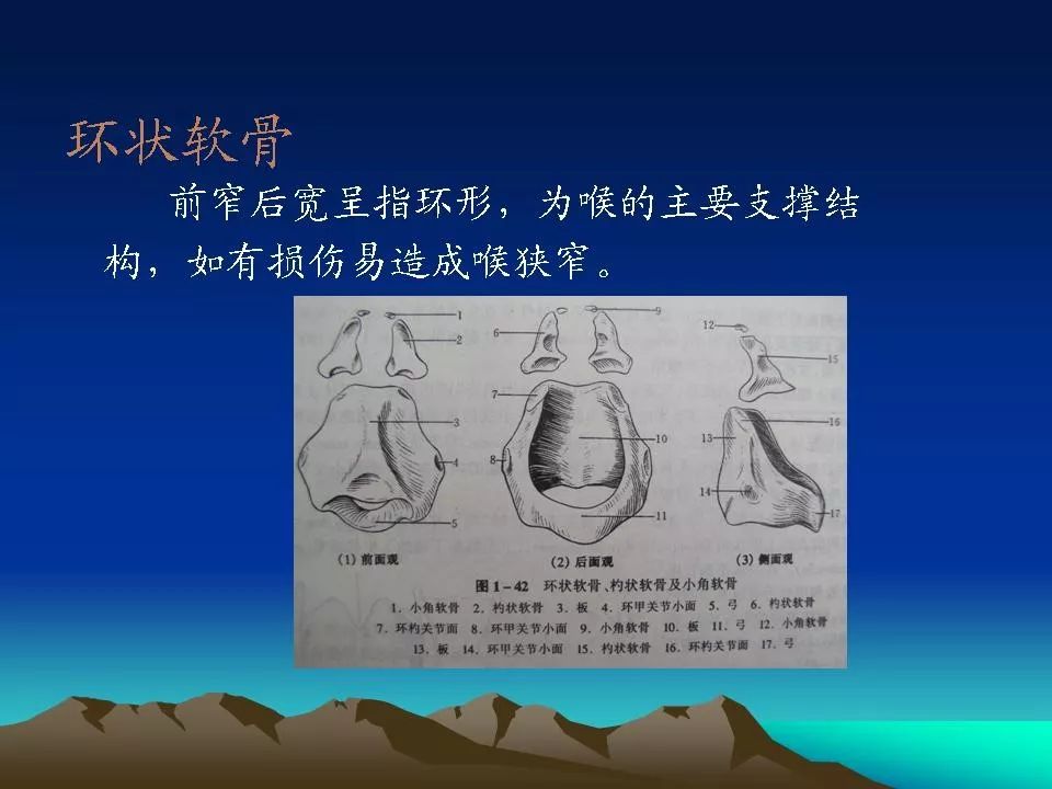 喉癌的ctmri诊断影像天地