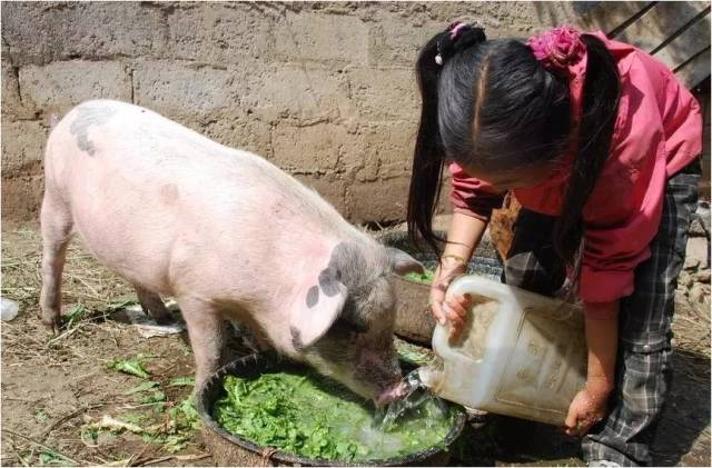 一般叫稔子,山稔等辣子山草莓,好看又好吃牛甘果火炭子酒柄子,各地方